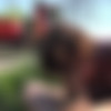 Onlyblowjob.com - Alexis Cherry ( Rewarding Snack ) thumbnail