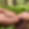 [FemJoy.com] 2016-10-30 Lorena G. - Deep Woods [2016 ., Erotic, Solo, 1080p] thumb