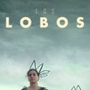 The Wolves [2020] / H264 / MKV / WEB / 1080p / AC3 / Spanish / Subs / alfaHD thumb