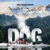 Dog / H264 / MKV / WEB / 1080p / AC3 / Subs / DUS thumb