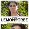 Lemon Tree AKA Etz Limon 2008 1080p WEB-DL AAC2 0 H 264 sEmpaTria thumb