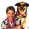 Summer School [1987] / H264 / MKV / Blu-ray / 1080p / DTS / Subs thumb