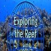 Exploring The Reef 2003 1080p DVD Remux Upscale 8bit EAC3 5 1 x264-iVy thumb
