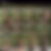 Teens Love Huge Cocks 57 /     57 (Reality Kings) [2023 ., 18+ Teens, Group Sex, Outdoor, Threesome, VOD, 720p] (Split Scenes) (Tiffany Tatum, Val Steele, Willow Ryder, Gia Ohmy, Kate Quinn, Honey Bunny, Kitty Cam) thumb
