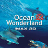 Ocean Wonderland [2003] / H264 / MKV / Blu-ray / 720p / DTS thumb