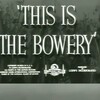 This Is the Bowery [1941] / H264 / MKV / Unknown / 1080p / AAC thumb
