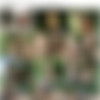 [Casualteensex.com]    (2 ) (  25.09.09) [2009, All Sex, Teens, Outdoor, Creampie] thumbnail