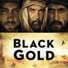 Black Gold [2011] / H264 / MKV / Blu-ray / 1080p / DTS / Subs thumb
