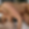 [MrPov.com] Kate England [2016 ., All Sex, POV, Blowjob, Hardcore, Cum in Mouth, 1080p] thumb