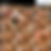 [PregnantCoeds.com] Pregnant Coeds (80 ) /   [2004-2012 ., Pregnant, Lactation, Teen, Solo, SiteRip] thumb