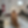 [MyDirtyHobby.com] Fitness-Maus / Kim Reichenbach / Pack (53 clips) [2018-2019 ., All Sex, Amateur, Homemade, German, Big Tits, Anal, Blowjob, Masturbation, Handjob, Toys, 1080p] thumb