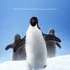 Penguins 2019 720p WEB H264-SHIIIT thumb