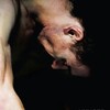 Hunger [2008] / H264 / MKV / Blu-ray / 1080p / DTS / Subs thumb