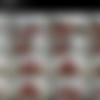 LeluLove.com SiteRip (Videos and Pictures) thumb
