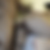 Areallyweakguy - OnlyFans UPDATE #2 thumb