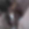 [TheStockingSite.com] Stella Cox (Stella VIP Bukkake - The Video 18/02/2015) [2015 ., Bukkake, Oral Sex, Blowjob, Stockings, 720p] thumb