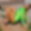 ShinyLeotards.com (001-039) thumb