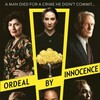 Ordeal By Innocence S01E03 iNTERNAL 1080p WEB H264-DiMEPiECE thumb