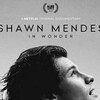 Shawn Mendes In Wonder 2020 HDR 2160p WEBRip x265-LiQUiD thumb