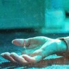 Dying For Revenge S01E08 1080p WEB H264-CBFM thumb