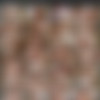 [Wild Frida] (19 ) Pack [2022-2024, Anal, Big Tits, Creampie, DAP, DPP, DP, Facial, Gangbang, Squirt, TP, Teen, 1080p] thumb