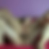 [MyDirtyHobby.com] (44) Pack / AnnikaRose aka AnnikaBond [2012-2015, HomeMade, Amateur, Solo, Anal, Oral, Vaginal, Creampie, 720p] thumb