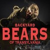 Backyard Bears Of Transylvania 2023 1080p WEB H264-CBFM thumb