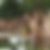 [CzechGardenParty.com / CzechAV.com] CZECH GARDEN PARTY 1 (2014 .) [Group Sex, Hardcore, Party, Orgy, Swingers, Amateurs, Outdoors] thumb