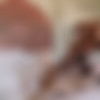 [OF-TriplexKale] Afternoon Sex with Millie Morgan 2023 [1080p] thumb