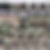 ClaudiaMarie.com thumbnail