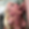 Leya Falcon (96) MegaPack [2012-2019, Anal, Facial, A2M, Big Tits, Swallow, MILF, Rough, Squirt, GangBang] thumb