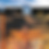 Desert Lovers / Heisse Liebe im Wüstensand (1985) thumb