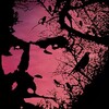 The Dark Half [1993] / H264 / MKV / Blu-ray / 1080p / DTS / Subs thumb