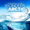 Wonders Of The Arctic 2014 HDR UHD BluRay 2160p TrueHD Atmos 7 1 HEVC REMUX-FraMeSToR thumb