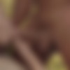 X-Art.com cumshot compilation [Oral, Blowjob, Facial, Cum shots, 720p] thumb
