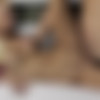 X-Art.com 2009-2016 cumshot compilation [Oral, Blowjob, Facial, Creampie, Cum shots, HDRip, 720p] thumb