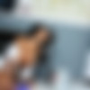 [BigTitsInUniform.com / Brazzers.com] Angelina Valentine (Boobs Ahoy! / 15.08.2012) [Blowjob, Uniform, Big Tits] thumb