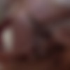 StudentSexParties Full Complete SiteRip thumb