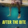 After the Bite [2023] / H264 / MKV / WEB / 1080p / AC3 / FLUX thumb