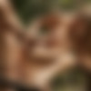 [WowGirls.com / WowFandom.com] Beata, Anjelica ( Jungle Fever / 10.04.14) [2014 ., All Sex, 720p] thumb