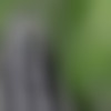 [MetArt.com] Katana / Grapes (25.11.2018) [asian, erotic, 1080p, SiteRip] thumb