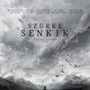 The Grey War [2016] / H264 / MKV / WEB / 720p / AC3 / Hungarian / Subs / PTHD thumb