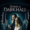 Down a Dark Hall [2018] / H264 / MKV / Blu-ray / 1080p / DTS / Subs thumb