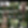 [TeamSkeet] Indica Flower - Miami [720p] [2020-05-02] thumb