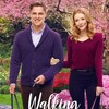Walking the Dog [2017] / H264 / MKV / WEB / 1080p / AC3 / Subs / EDGE2020 thumb