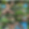 [CzechGardenParty.com / CzechAV.com] CZECH GARDEN PARTY 2 (2014 .) [Group Sex, Hardcore, Party, Orgy, Swingers, Amateurs, Outdoors] thumb