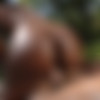 [TeenCurves.com / TeamSkeet.com] Chanell Heart - Ebony Ass Worship (24.09.2017) [All Sex, Blowjobs, Ebony, 1080p] thumb