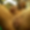 [MyFreeCams.com / MFC] Jrabbit81 [12 ] [2015 ., Solo, Dildo / Toys, Masturbate, CloseUp, Fisting, MILF, Muscule, WebCam] thumb