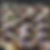 [Hunt4k.com] Hunt4k Siterip as of 03.09.2020 (24 clips) 1080p thumb
