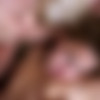 Rocco Meats The Princess /    (Rocco Siffredi, Evil Angel) [2004 ., Anal, A2M, Blowjob, Cumshot, DP, Gonzo, Group Sex, Facial, Hardcore, Swallow, Teen, Rimming, Rough Sex, Upscale, 1080p] (Yvonne, Tanja, Mandy May, Niky Pozzi, Carol Weiss, Chiara, Rocco Siffredi, Kevin Long, Roly Reeves, J.J. Rocco Siffredi) thumb